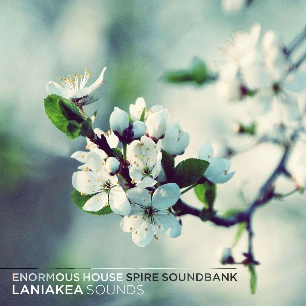 Laniakea Sounds - Enormous House Spire Soundbank Presets Software GUI Artwork
